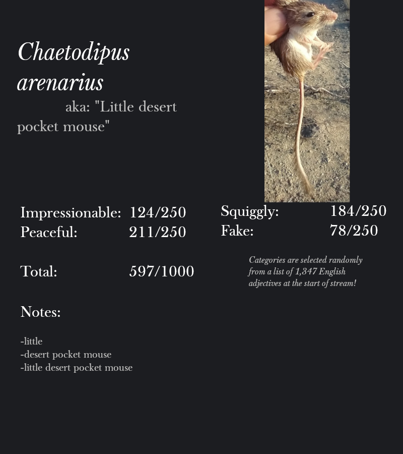 Chaetodipus arenarius